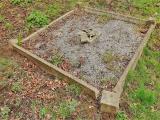 image of grave number 784709
